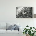 thumbnail image 3 of Trademark Fine Art 'Thai Baby Elephant Black and White' Canvas Art by American School, 3 of 4