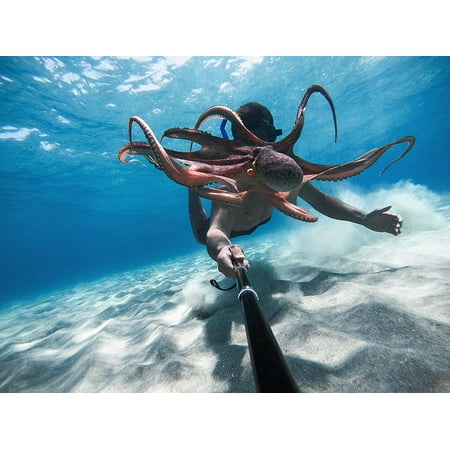 GoPro HERO9 Black 5K and 20MP Streaming Action Camera