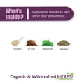 thumbnail image 4 of Amber NaturalZ Pyntril Peaceful Mind for Pets | Herbal Pet Supplement for Relaxation 1oz, 4 of 6