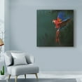 thumbnail image 3 of Trademark Fine Art 'Macaw Over Forest' Canvas Art by Michael Jackson, 3 of 3