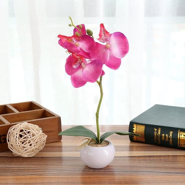 Bonsaï d'Orchidée Élégant pour la Maison et