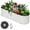 White, variant on 4.5x2x1 FT Oval Raised Garden Bed (2-Pack), White Galvanized Steel Raised Planters for Outdoor, Rust Resistant, Tool-Free Assembly, Open Bottom Design for Vegetables & Flowers, White