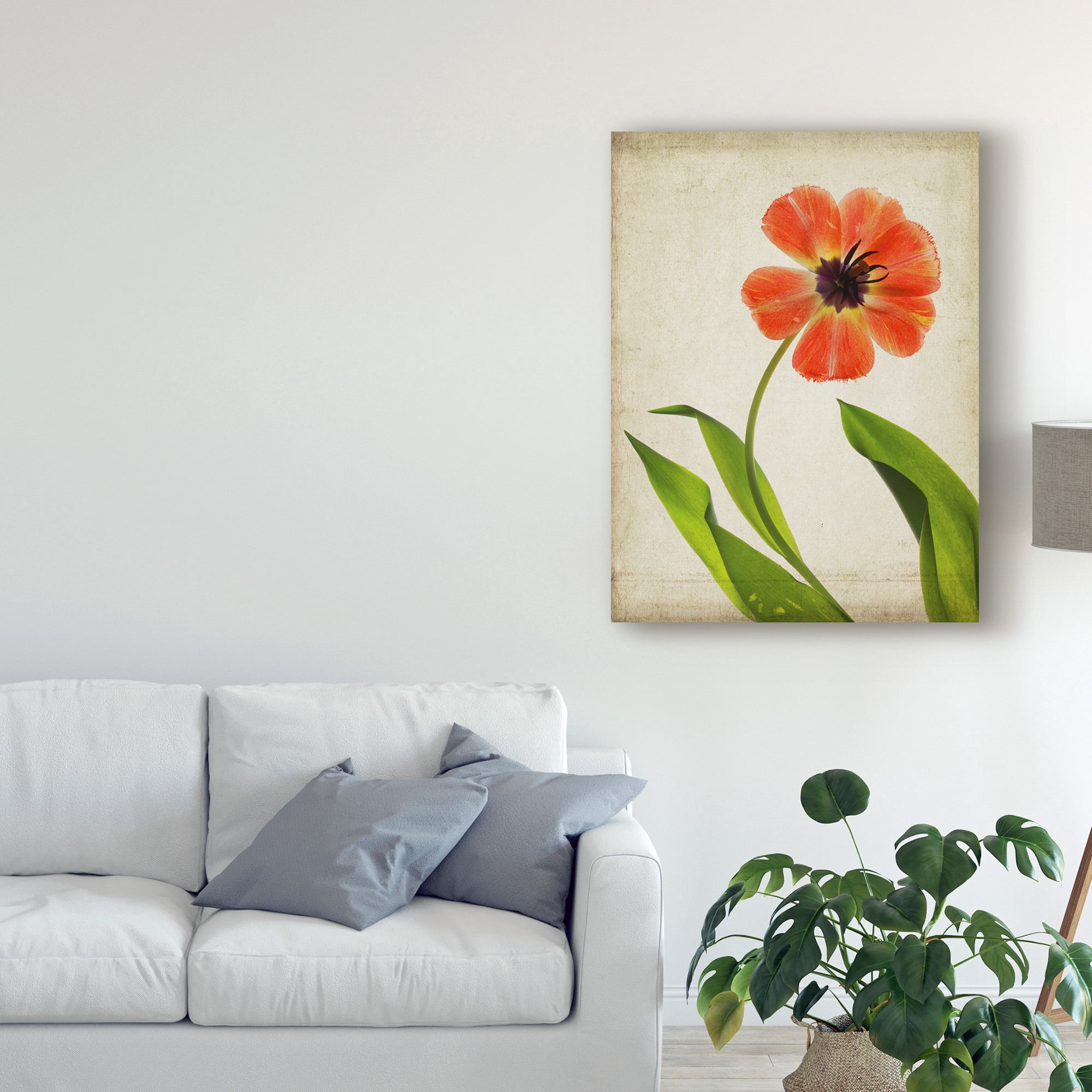 Trademark Fine Art 'Parchment Flowers V' Canvas Art by Judy Stalus