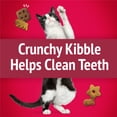 thumbnail image 6 of Purina Friskies Party Mix Mixed Grill Crunch, Cat Treats, Chicken, Beef, & Salmon, 2.1 oz Bag, 6 of 12