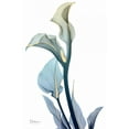 thumbnail image 2 of Koetsier, Albert 17x24 Black Ornate Wood Framed with Double Matting Museum Art Print Titled - Gold Splash Calla Lily 1, 2 of 4