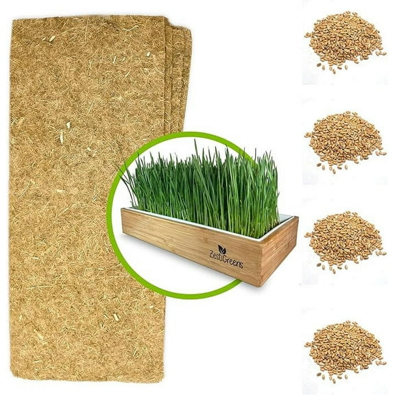 Cat Grass Refills for Self Watering Cat Grass Kit - 4 Mats and 4 Cat Grass Seed Packets (Cat Grass Refill Kit)