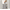 Gray, variant on Momcozy Retractable Extra Wide Baby Safety Gates, Stairs Safe Gates for Baby and Pet,33" X 55", for Stairs, Doorways, Hallways