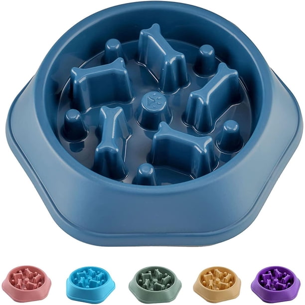 Slow Food Dog Bowl Small And Medium Dog Food Bowl Slow Food Dog Bowl Slow Food Dog Slow Food Bowl