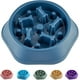 thumbnail image 1 of Slow Food Dog Bowl Small And Medium Dog Food Bowl Slow Food Dog Bowl Slow Food Dog Slow Food Bowl, 1 of 5