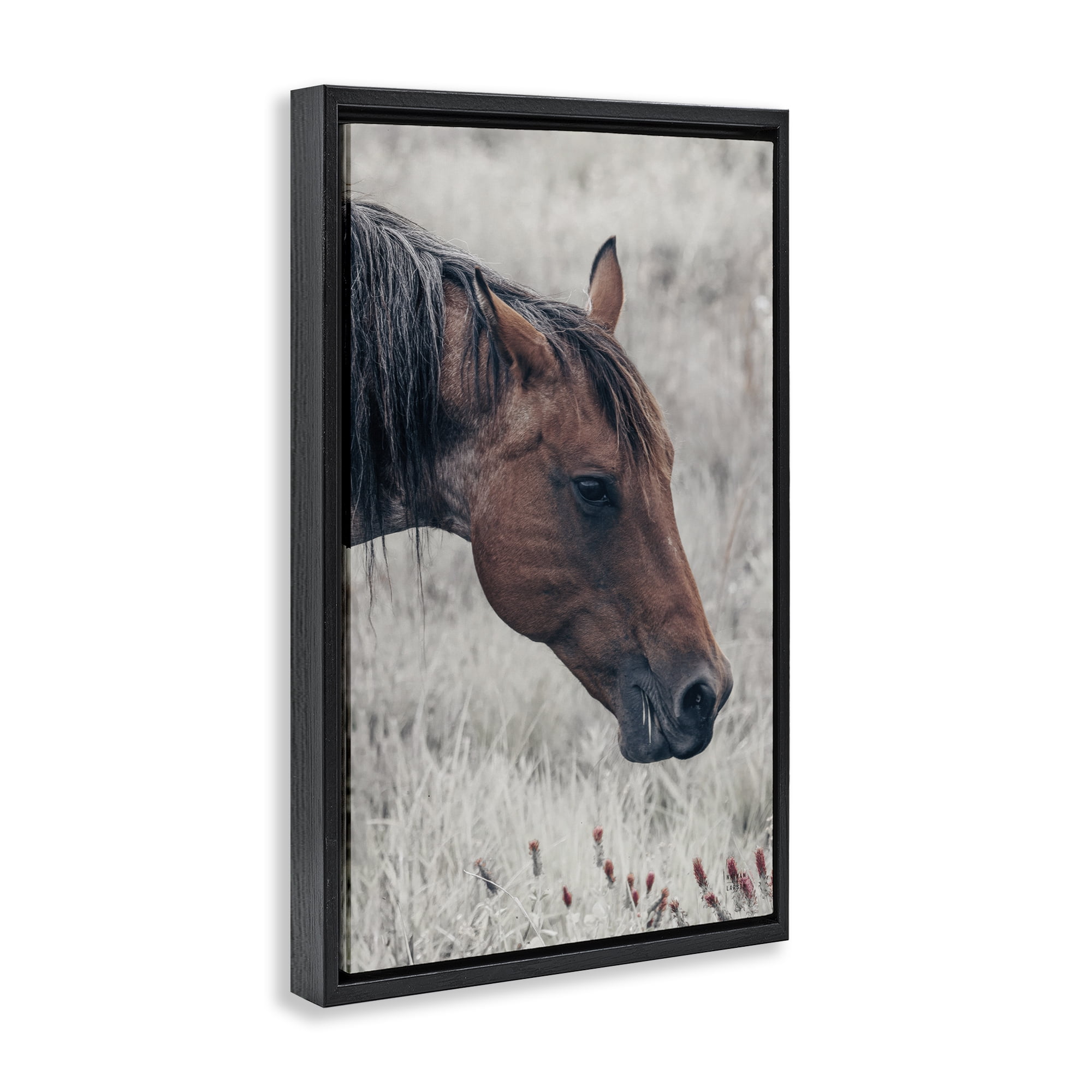 Stupell Industries Mother Horse Grazing in Meadow Black Framed Floater Canvas Wall Art, design by Nathan Larson