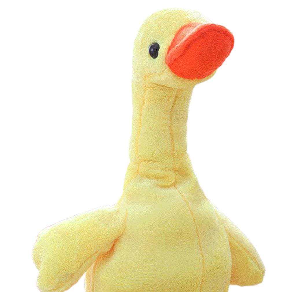 walking duck toy