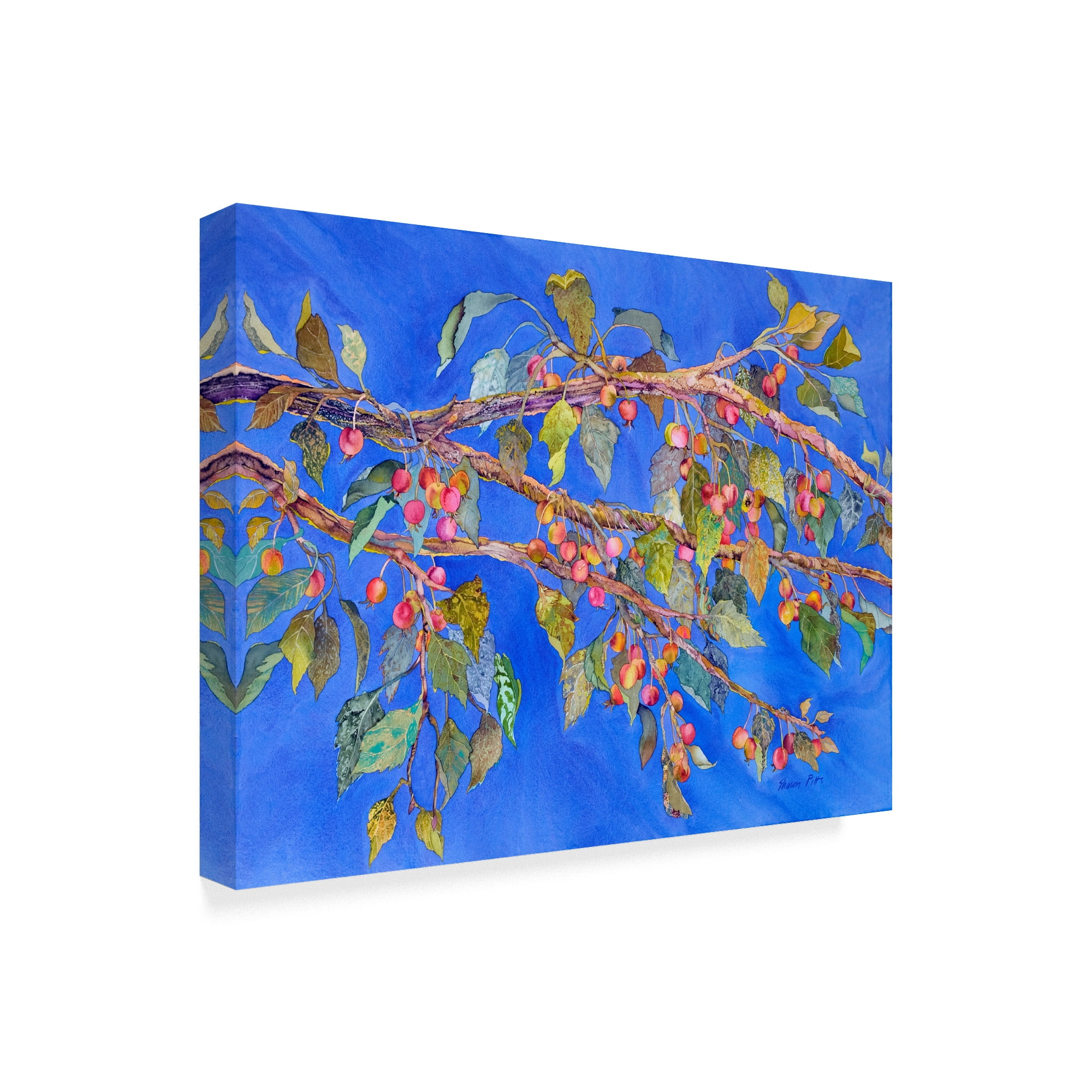 Trademark Fine Art 'Crab Apple In Tree' Canvas Art by Sharon Pitts