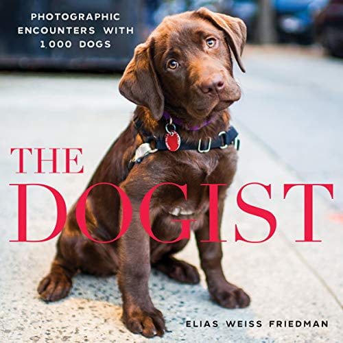 Pre-Owned The Dogist: Photographic Encounters with 1,000 Dogs (Hardcover) 1579656714 9781579656713