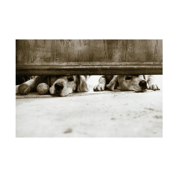 Jim Dratfield 'We See You v2' Canvas Art