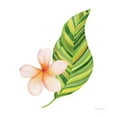 thumbnail image 3 of Gango Home Decor Tropical Treasures of the Tropics VIII, XI, & XI by Kathleen Parr McKenna (Ready to Hang); Three 12x12in Brown Framed Prints, 3 of 6