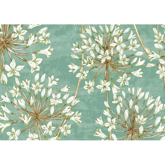 Allium Blossoms Note Cards (14 Cards, 15 Self-Sealing Envelopes), (Hardcover)