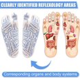 thumbnail image 4 of Foot Massage Socks with 2 Trigger Point Tools, Acupressure Reflexology Set, Toe Separator, Finger-Pressing Charts for Uncomfortable Feet (Men), 4 of 6
