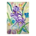 thumbnail image 1 of Betsy Drake FL942G 28 x 40 in. Two Irises Flag, 1 of 1
