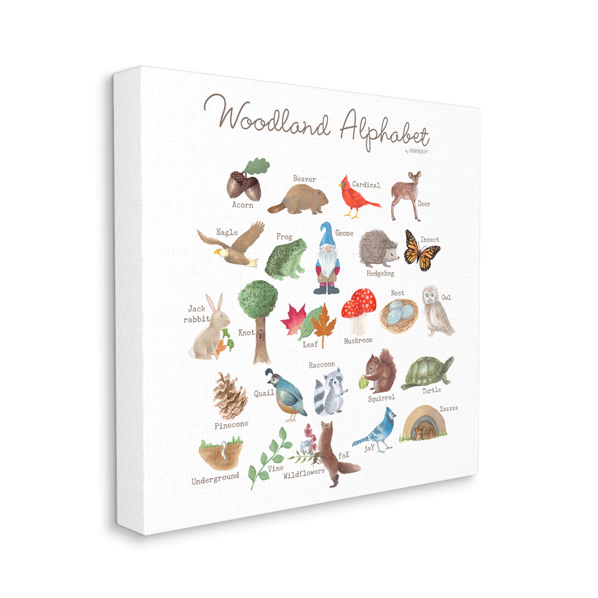Stupell Industries Woodland Alphabet Wildlife Botanicals Learning Forest Creatures Graphic Art Gallery Wrapped Canvas Print Wall Art, Design by Dishique