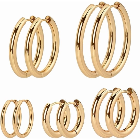 5 Pair 18K Gold Hoop Earring 5 Style Stainless Steel Huggie Hoop Earring Hook Ear Wire for DIY handcrafting