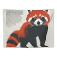 thumbnail image 5 of Orinice Red Panda Raccoon Striped Sock Tapestry Wall Hanging Unique Style for Home Decor - Living Room Bedroom Farmhouse Dorm Apartment Wall Art 50x40inch, 5 of 6