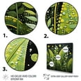 thumbnail image 3 of Designart "Ferns Plant beautyful Curves II" Floral Floater Framed Wall Decor, 3 of 7