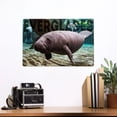 thumbnail image 2 of Everglades National Park, Manatees Underwater, Photography (12x18 Aluminum Art, Indoor Outdoor Metal Sign Decor), 2 of 5