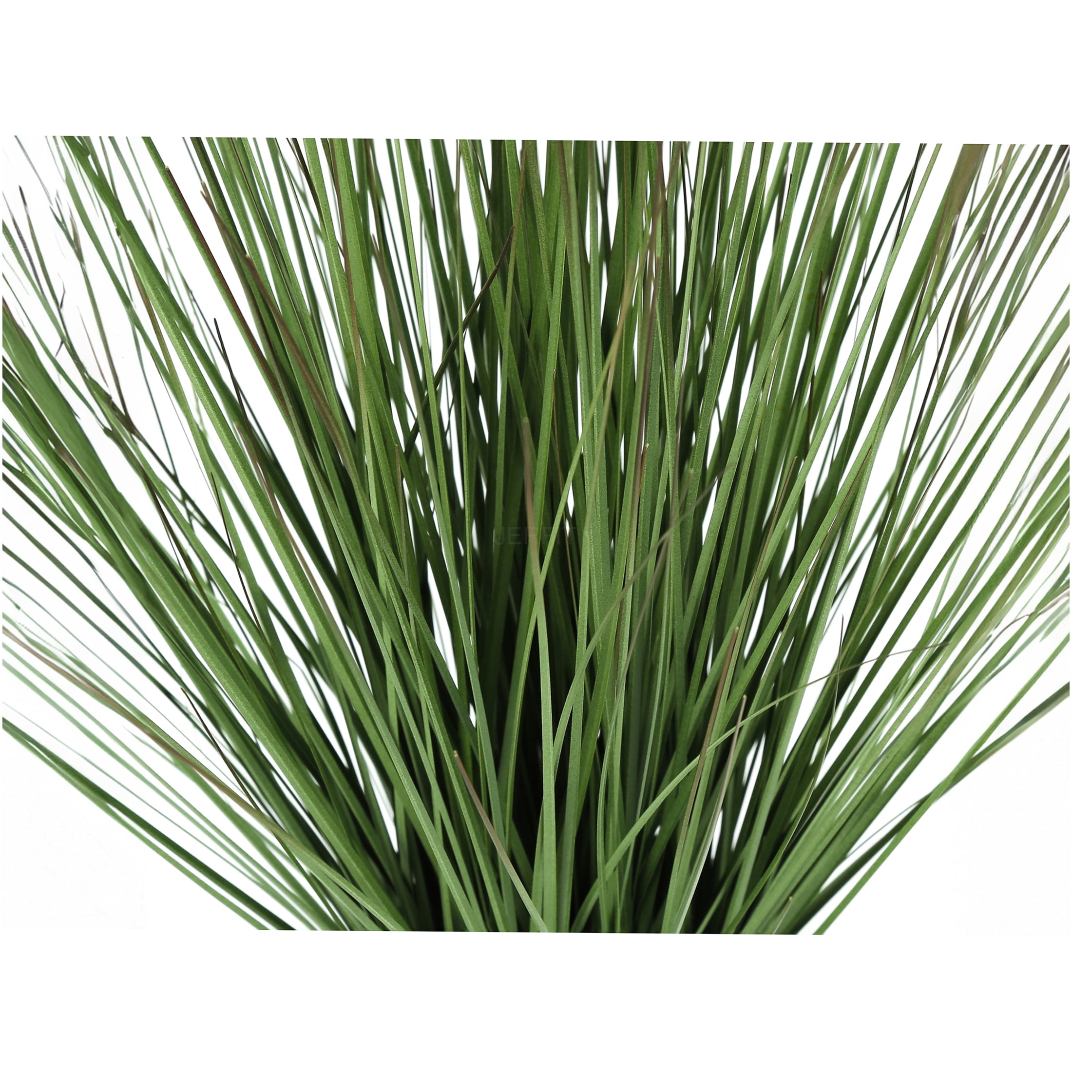 JERFIT 21 inch Real Touch Artificial Grass Plant in White Pot, Faux Potted Greenery for Indoor Tabletop Decor, Low Maintenance Fake Grass Plant