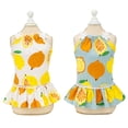 thumbnail image 1 of Conjunto de 2 vestidos para perros pequeños y niñas, lindos vestidos de verano para gatos, falda para cachorros, ropa de verano para mascotas (blanco y azul) M, 1 of 5