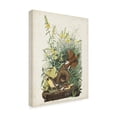 thumbnail image 2 of John James Audubon 'Meadow Lark' Canvas Art, 2 of 3