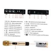LESHP Wireless Microphone Karaoke for Music Playing Singing Machine KTV 25Ch
