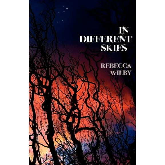 In Different Skies (Paperback)