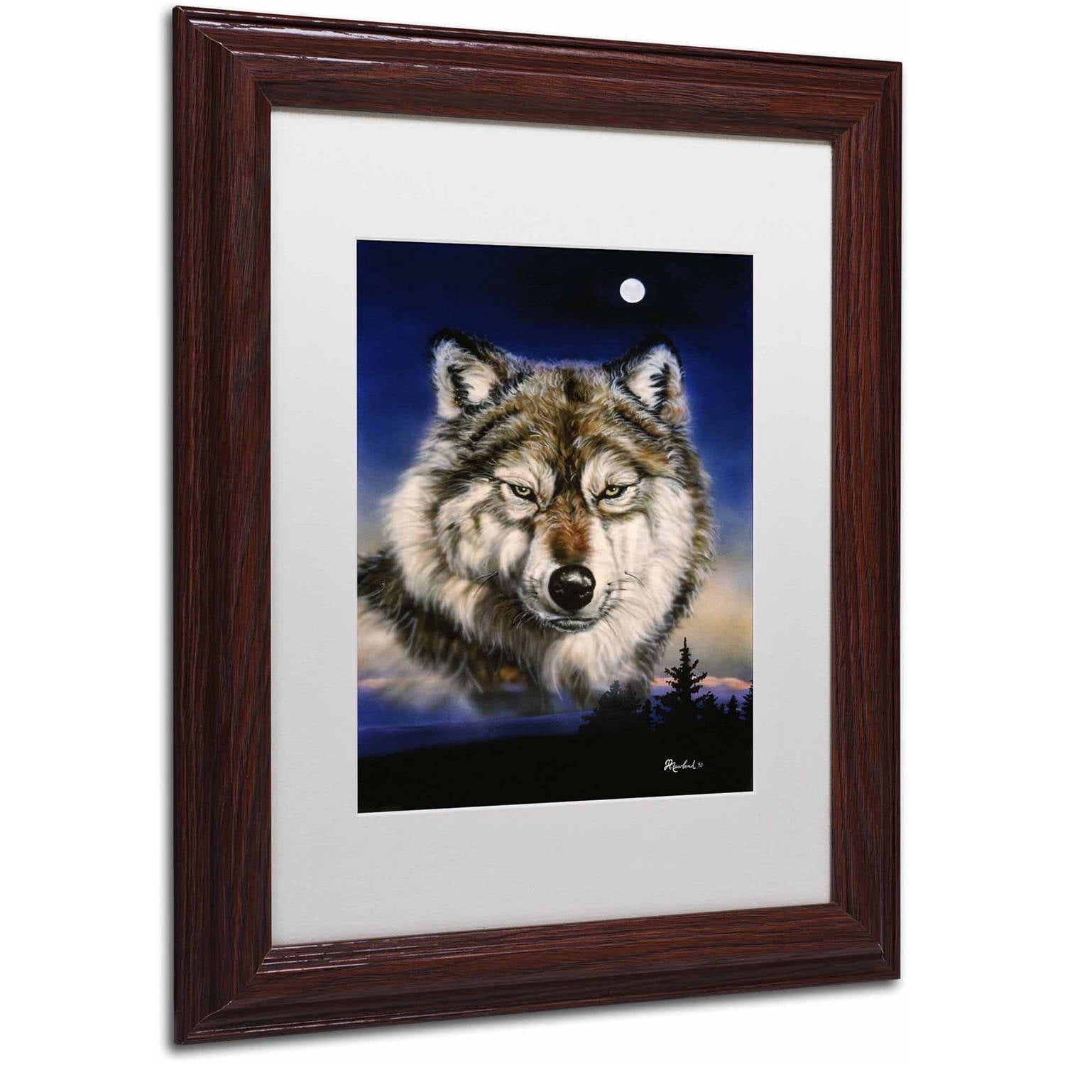Trademark Fine Art 'Endangered' Canvas Art by Jenny Newland, White Matte, Wood Frame