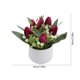 thumbnail image 3 of Tulipanes artificiales en miniatura en maceta, bonsái de flores artificiales para decoración de interiores, macetas falsas para escritorio, estante, hogar, oficina, decoración de flores, 3 of 6