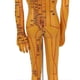 thumbnail image 4 of Modèle d'acupuncture du corps humain de 53 cm, modèle d'acupuncture pour l'enseignement de la médecine chinoise, 4 of 4