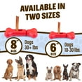 thumbnail image 6 of GoSports Chew Champ Bully Stick Holder for Dogs - Securely Holds Bully Sticks to Help Prevent Choking - 8 Inch, 6 of 7