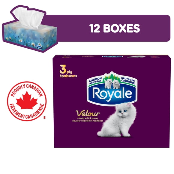 Royale Velour, 3 Ply Facial Tissue, 12 Flat Boxes, 82 Tissues per Box