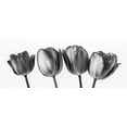 thumbnail image 2 of Frank, Assaf 32x15 Black Ornate Wood Framed with Double Matting Museum Art Print Titled - Four tulips, FTBR-1795, 2 of 4