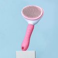 thumbnail image 1 of Automatic Cleaning Pet Brush, 1 of 5