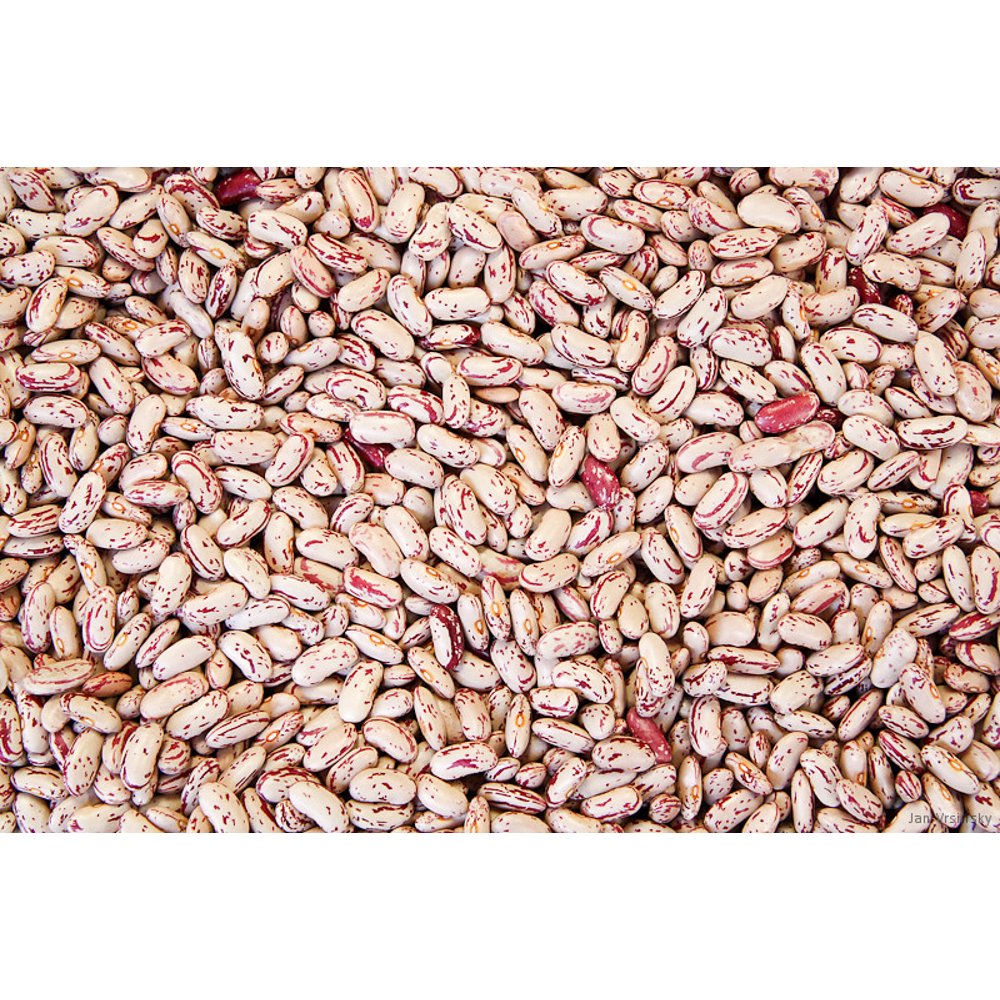 Beans 232922 Triple Clean Pinto Bean Box 120