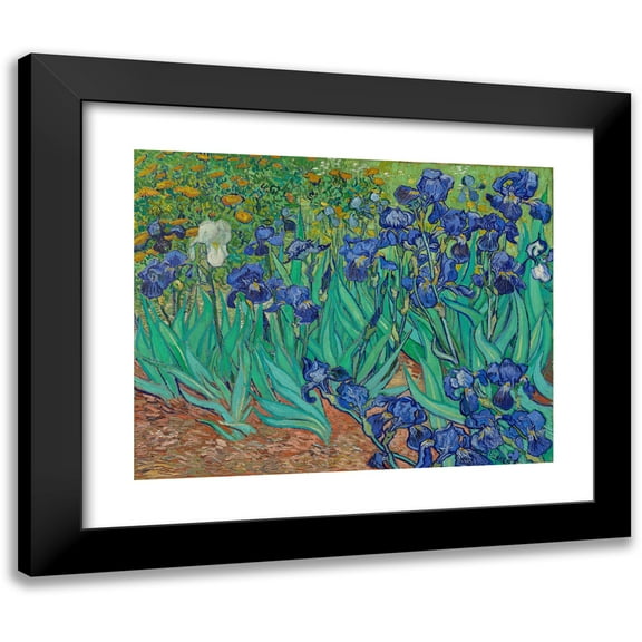 Vincent van Gogh 14x12 Black Modern Framed Museum Art Print Titled - Irises (1889)