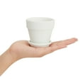 thumbnail image 6 of 3 Inch 12 Pack White Clay Mini Terracotta Pots with Saucers and Drainage Hole, Paintable Pottery for Succulents, Planter, Flowers, Cactus, Garden Crafts, and Wedding Decor, 6 of 10
