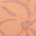 thumbnail image 3 of 25 Hojas de Oro Abigarrado Sunnimix Imitación, 3 of 8