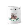 thumbnail image 1 of Esmeralda chiste de mascotas Taza de cepillo de dientes, 1 of 3