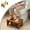 Beige, variant on Toilet Stool, Wooden Squatting Potty Stool for Adults, Toilet Stool Squat Adult, Non- Wood Poop Stool, Portable Toilet Foot Pooping Step for Bathroom