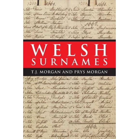 Welsh Surnames (Paperback)
