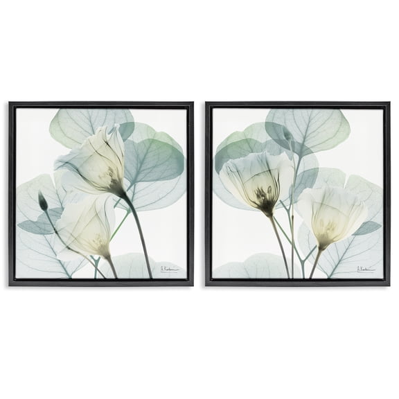 Stupell Industries Transitional Divine Fate Flowers Black 2pc Floating Frame Art Set, 18 x 18 each, by Albert Koetsier