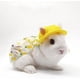 thumbnail image 4 of Ropa de algodón ZHCH ajustable para mascotas disfraz de conejo con patrón de piña, 4 of 4