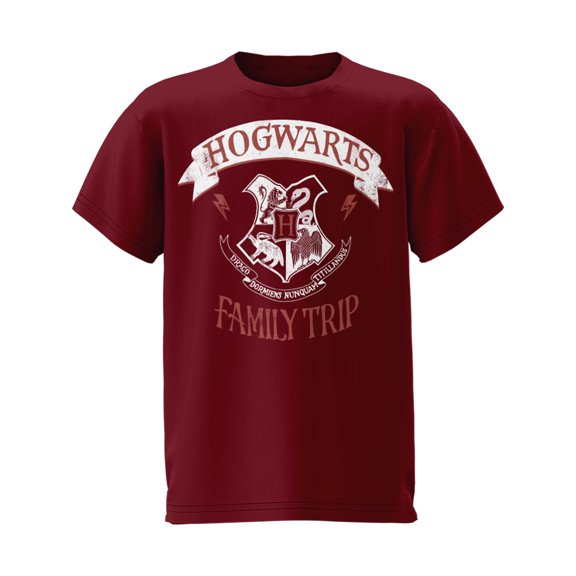 Harry Potter Hogwarts Family Trip Youth Tee Shirt