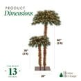 thumbnail image 3 of Home Heritage 5' & 3' 150 LED Pre-Lit Artificial Double Christmas Palm Tree, 3 of 11